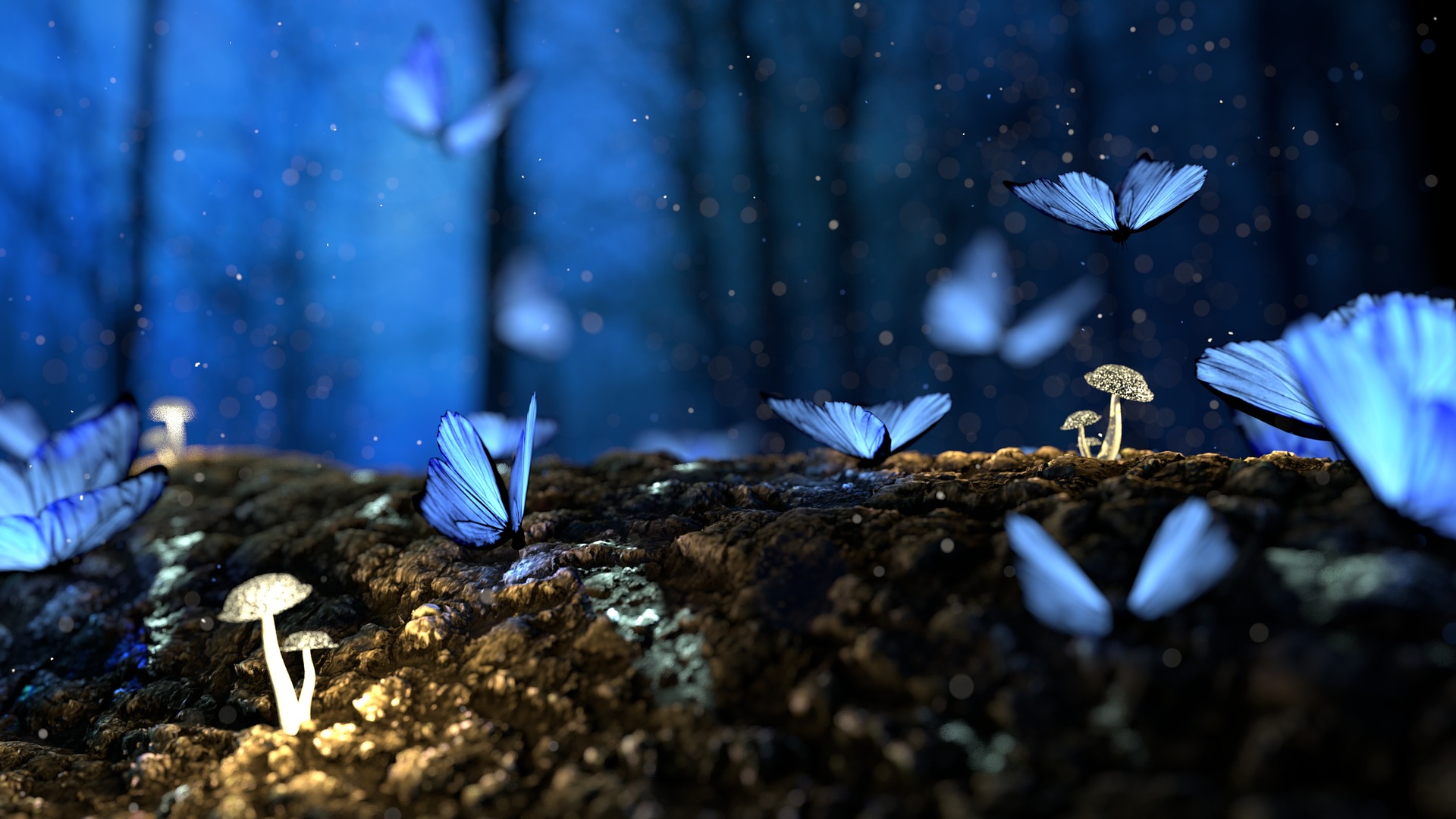 Бабочки в ночном лесу